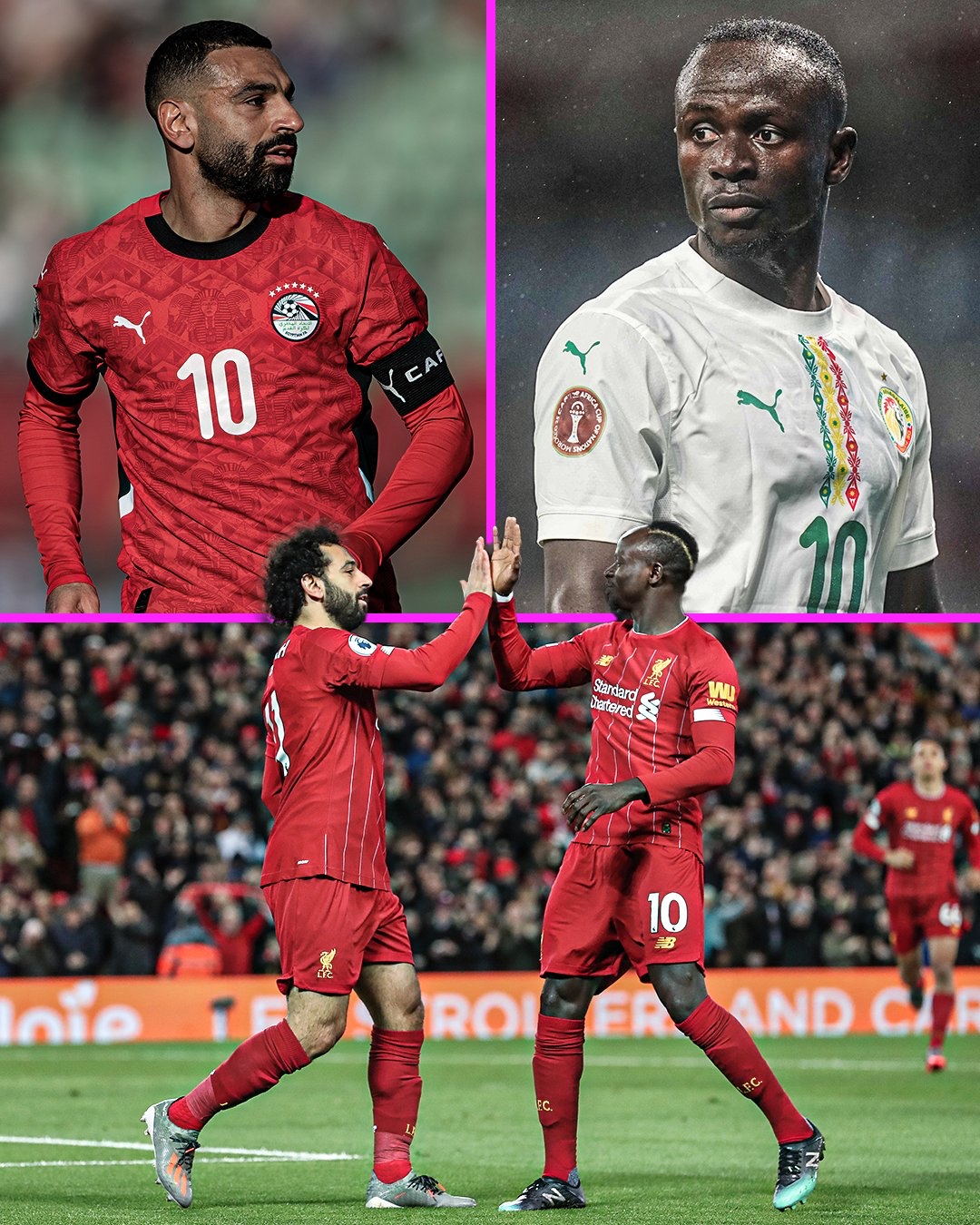 九游体育官网-萨拉赫连续二十场比赛得分超过失利关键时刻布莱顿临场应变，连对手都承认：波尔图国际比赛日远射贴柱